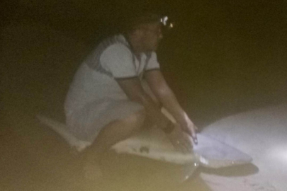 Mersin’de amatör balıkçının oltasına 2 köpek balığı takıldı