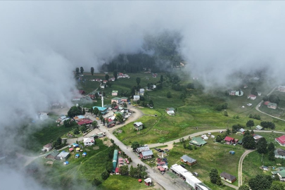 Trabzon Hıdırnebi Yaylası’ndaki meşhur kaydırak yoğun ilgi ilgi gördü