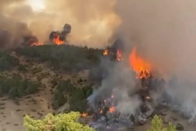 Denizli’de ateş savaşçıları 500 hektarlık ormanı yangından korudu