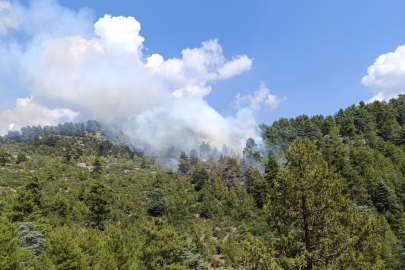 Denizli'de yıldırım iki noktada ormanı ateşe verdi