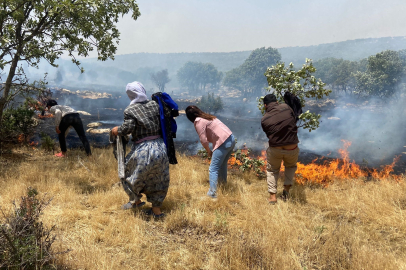 Mardin’de orman yangınına havadan ve karadan müdahale sürüyor