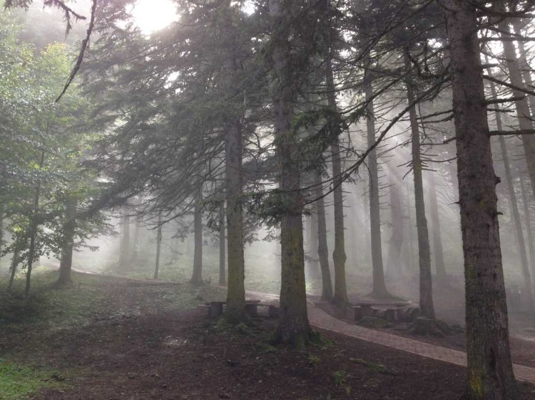 BELEDİYE OTOBÜSÜ SEFER SAATLERİ: