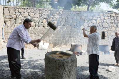 Buğdayın ehlileştiği topraklar, tarımın yönünü belirliyor