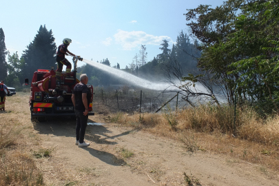 Burhaniye’de yazla birlikte yangın tehlikesi arttı