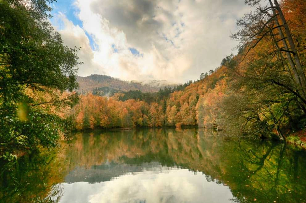 Doğanın Yedi Rengi: Bolu Yedigöller Milli Parkı