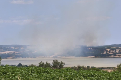 Edirne Keşan’da orman yangını: Havadan ve karadan müdahale sürüyor