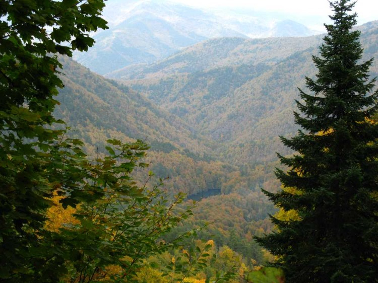 ZENGİN FLORA VE FAUNA: TAM BİR DOĞA CENNETİ