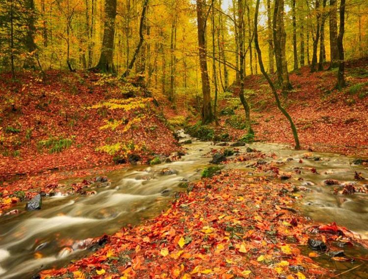 AKTİVİTE VE KEŞİF DOLU ROTALAR