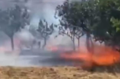 Siirt'te çay ateşi ormanı küle çevirdi