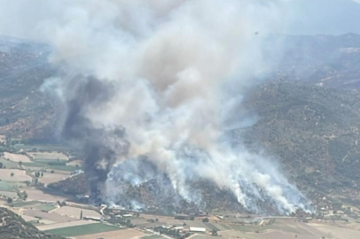 Söke’de zirai alanda korkutan yangın