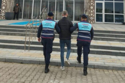 Çanakkale'de 11 orman yangınına 6 gözaltı