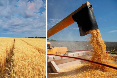 Eskişehir’de 3 bin 869 üreticiye 95,5 milyon TL hububat, baklagil ve dane mısır desteği