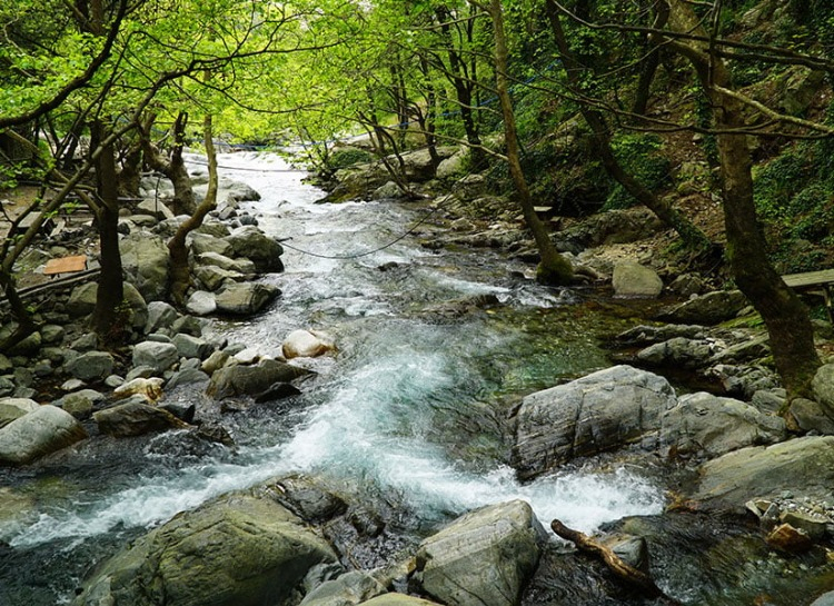 Kaz Dağları (Çanakkale)