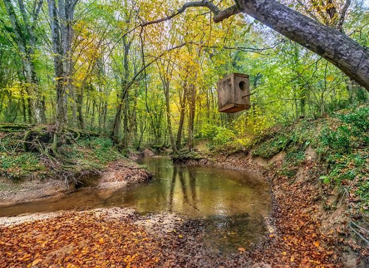 İğneada (Kırklareli)