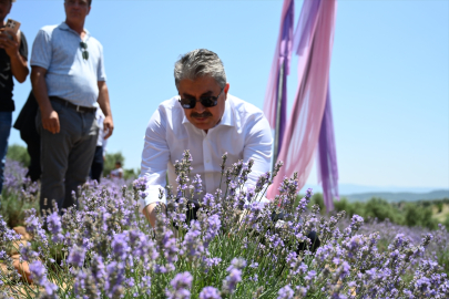Osmaniye Kadirli’de 4. Lavanta ve Zeytin Çiçeği Festivali renkli görüntülere sahne oldu