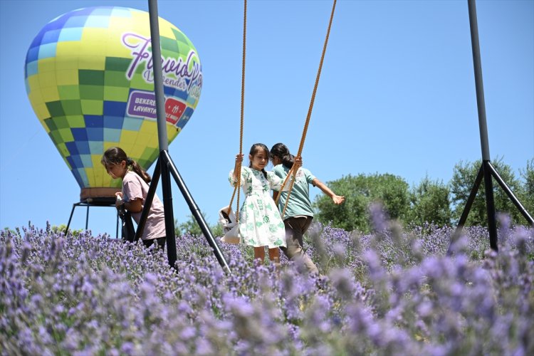 Osmaniye Kadirli’de 4. Lavanta ve Zeytin Çiçeği Festivali renkli görüntülere sahne oldu 2