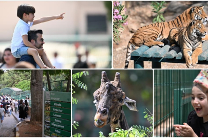 Gaziantep Doğal Yaşam Parkı nerede, içeride kaç hayvan var, giriş ücretli mi?