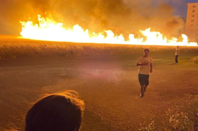 Diyarbakır’da buğday tarlasında yangın: 40 dönüm kül oldu