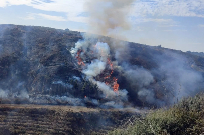 Feke’deki orman yangını kontrol altına alındı, soğutma çalışmaları tamamlandı