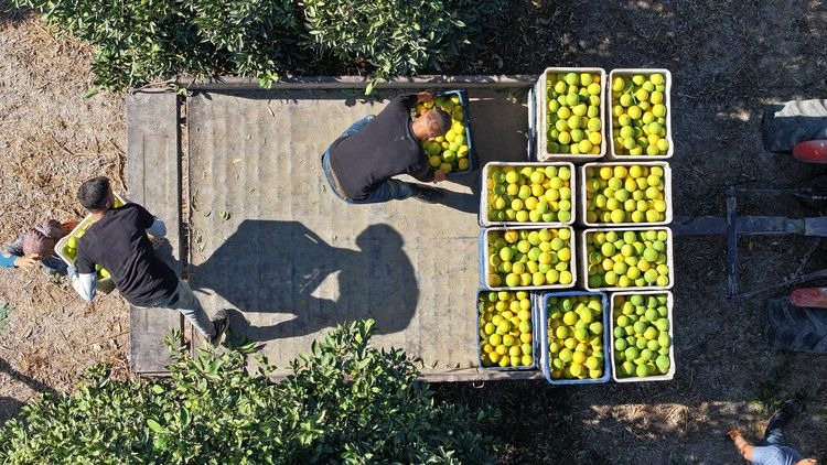 Finike'den fotoğraflar