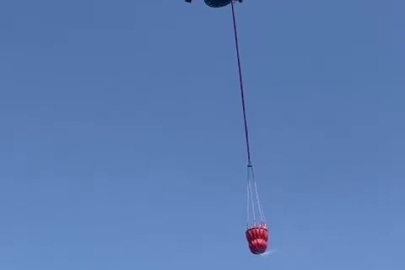 Bursa Nilüfer’de orman yangını: Havadan ve karadan müdahale sürüyor