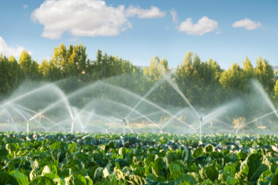 Eskişehir’de tarıma yatırım sürüyor: 2.489 Projeye hibe desteği