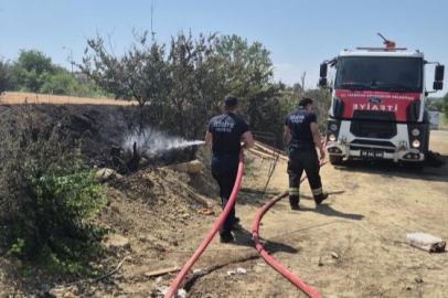 Şehir içindeki 30 dönümlük buğday tarlası alevlere teslim oldu