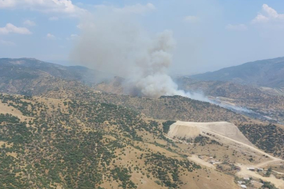 Aydın’da zirai alan yangını