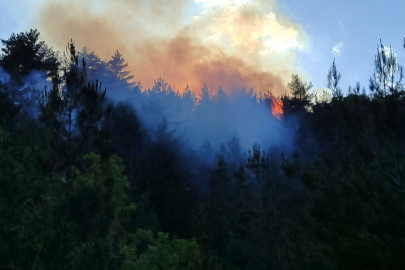 Kozan’da gece yarısı orman yangını alarmı