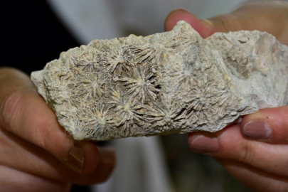 Mersin Mut’ta fosil araştırması