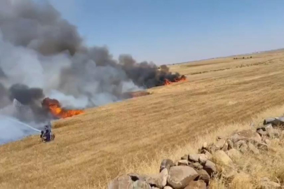 Şanlıurfa'da buğday tarlasında yangın: 1'i ağır 5 yaralı