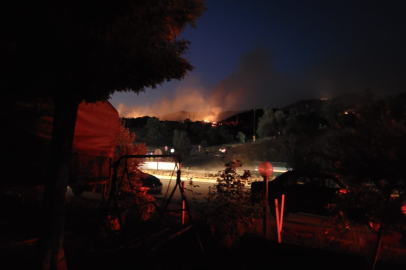 Aydın’da tarım arazisinden ormana sıçrayan yangınla mücadele sürüyor