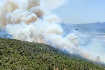 Manisa Kırkağaç’ta orman yangını yeniden alevlendi