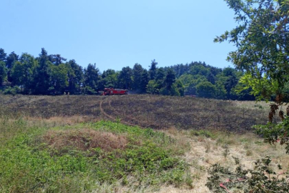 Nilüfer’de anız yangını: 25 dönüm arazi kül oldu