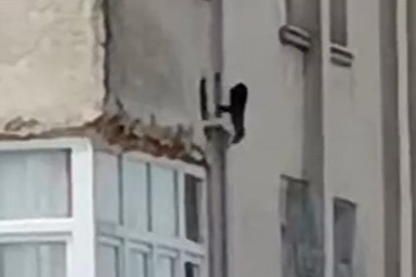 Mersin'de firar eden maymunun binalar arasındaki güvercin avı kameralara yansıdı