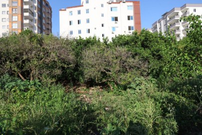 Adana'da Kilgen Çayı’na lağım akıyor iddiası