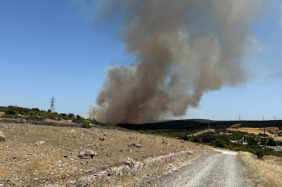 Çanakkale Ezine’de tarım arazisindeki yangın ormanlık alana sıçradı