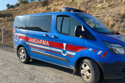 Genç kız hayvan damında ölü bulundu