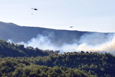Sıcaklıklar artıyor, orman yangını riski yükseliyor