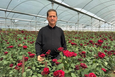 Yurt dışından ithal güller yerli üreticiyi vurdu: Fiyatlar düştü, destek talebi arttı