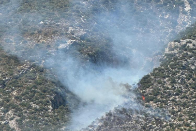 Antalya Finike’de orman yangını