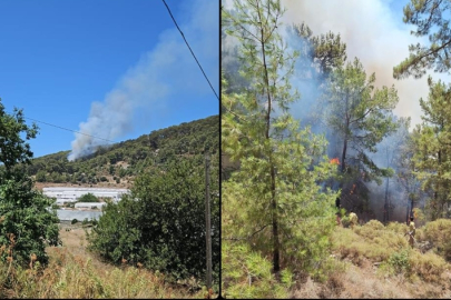 Antalya Kumluca’da orman yangını çıktı: Havadan ve karadan müdahale devam ediyor
