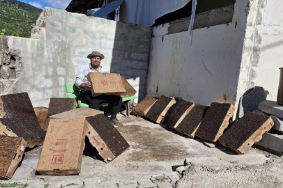 Bu da Adana usulü "sinekle mücadele"