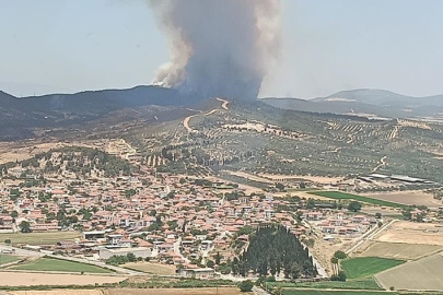 İzmir Foça’da orman yangını: Havadan ve karadan müdahale sürüyor