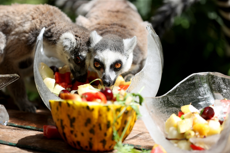antalya doğal yasam parkı