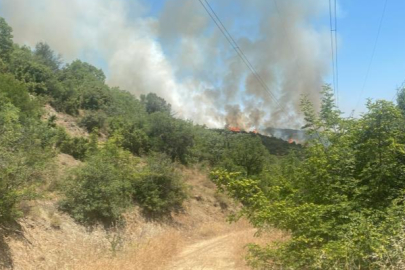 Bursa Kestel’de 2 gün önceki orman yangını yanında yeniden alevler yükseldi