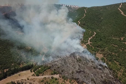 Kocaeli Körfez'de makilik ve ağaçlık alanda yangın!