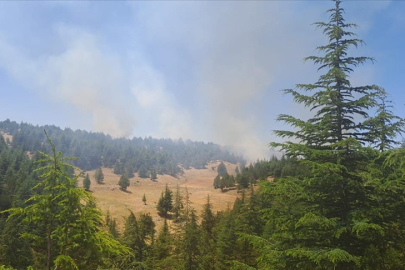 ADANA’DA ORMANLARA GİRİŞLER YASAKLANDI!