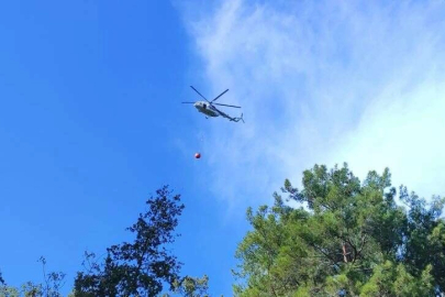 Alanya ve Aksu'da orman yangını