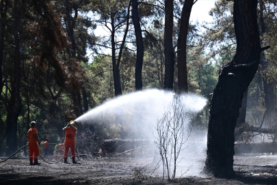  Antalya'da iki bölgede çıkan orman yangınlarından biri kontrol altına alındı